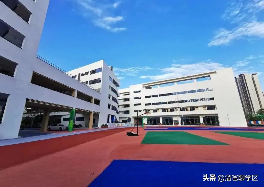 提前一年落户能读桂雅路小学吗,提前一年落户的学校