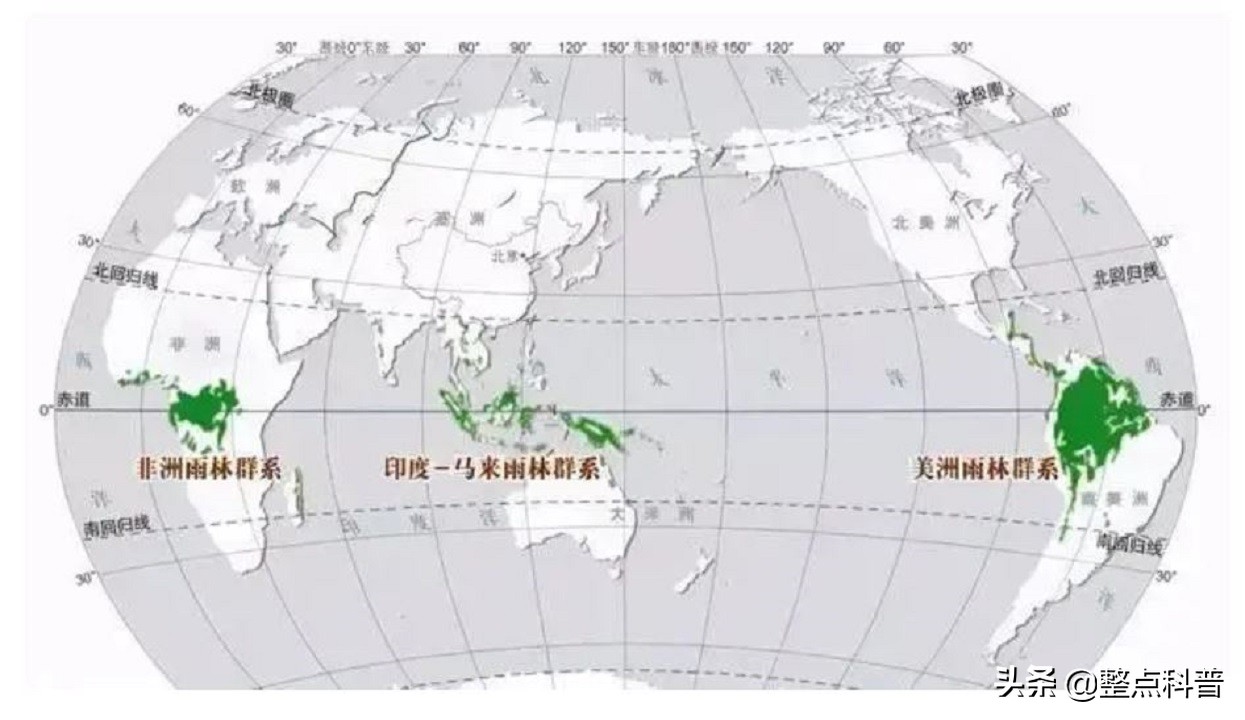 秦岭隧道挖出两条巨蟒是真的吗,世界上最大的蛇是不是在秦岭