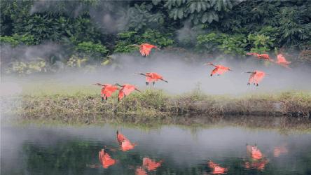 长隆动物园酒店两天一晚旅游攻略,长隆2天1夜熊猫酒店旅游攻略