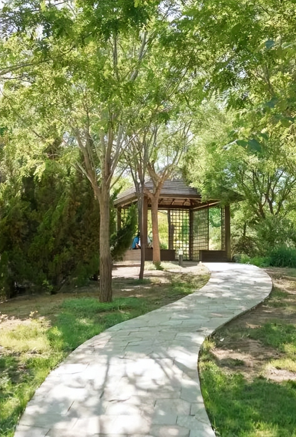 天津遛娃好地方,天津遛娃的免费公园