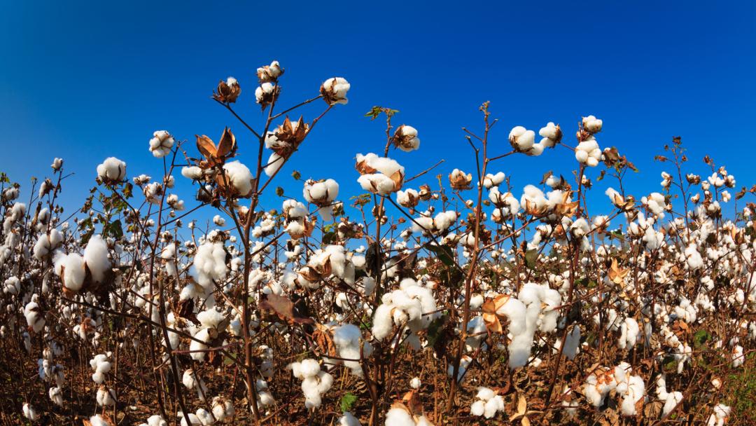 ppt做一个好一点的背景,ppt背景不乱且高级