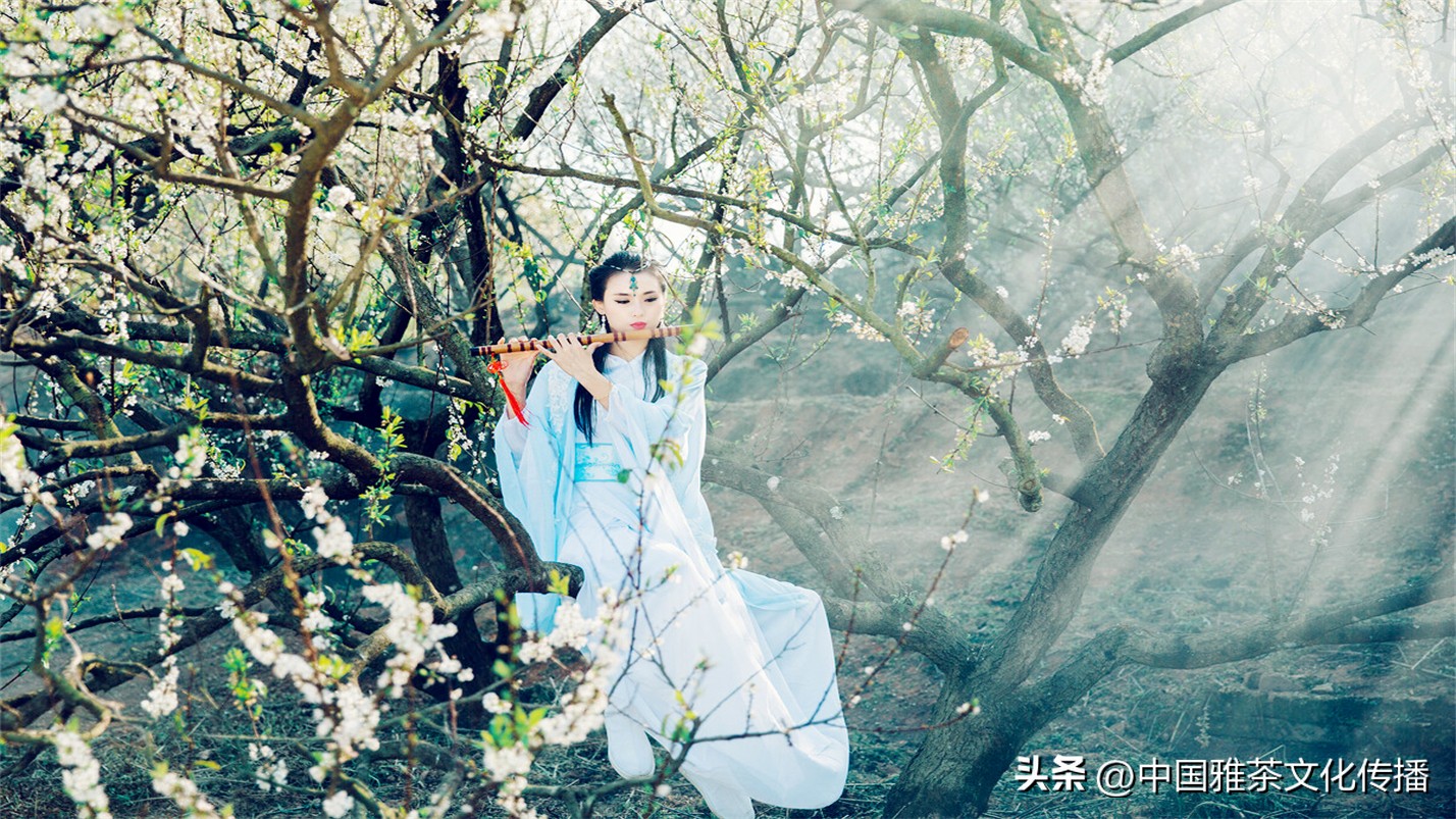 人生在世开心就好做喜欢的事,人生在世开心就好