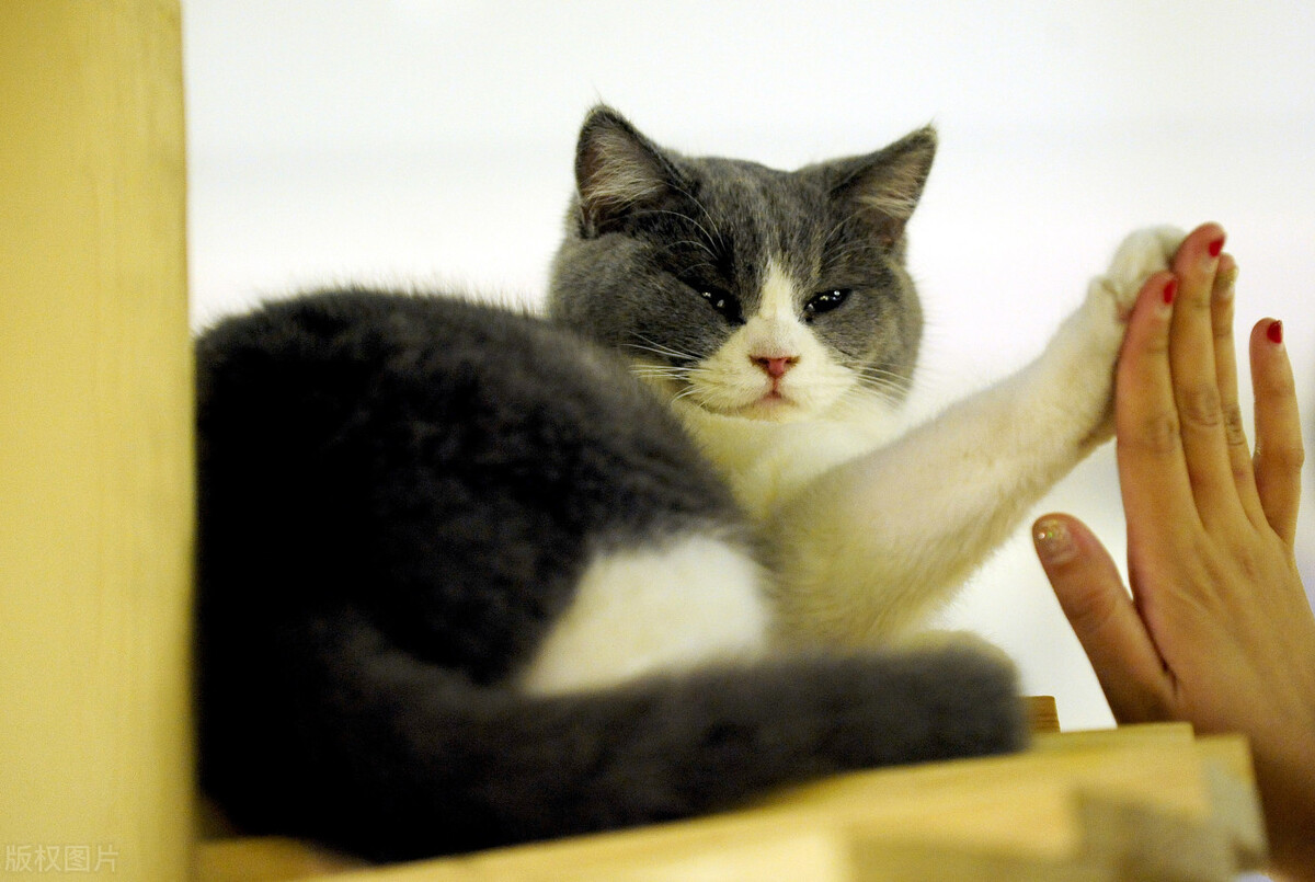 船舶货运的基本知识,大型船舶怎么托运