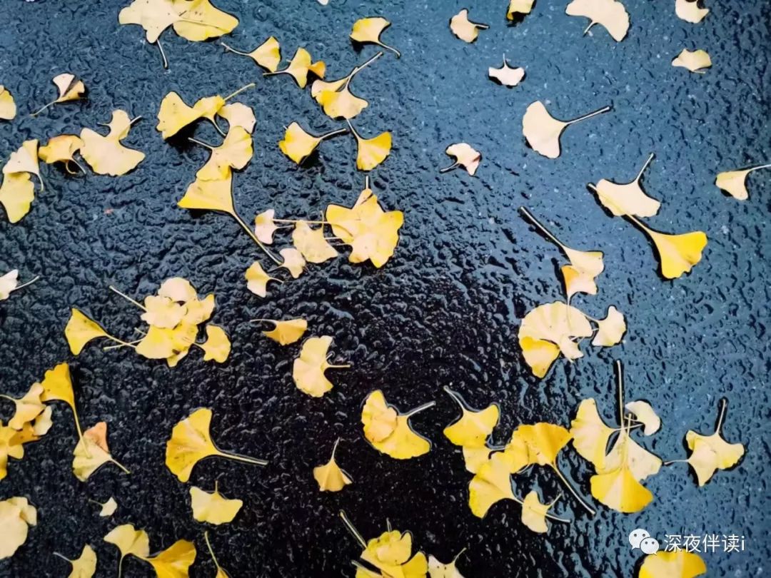 在这有可能的夜晚钢琴和弦,在有可能的夜晚