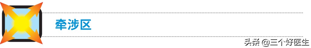 提上唇肌与颧小肌,颧小肌和上唇提肌怎么练