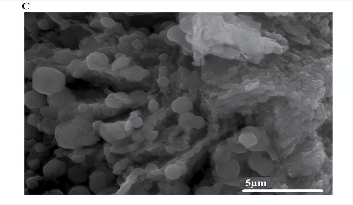 通过Fe3O4纳米复合材料，对水介质中去除Cu和Cd离子进行表征