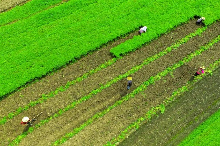 巴山蜀水美图,美图美景精彩绽放