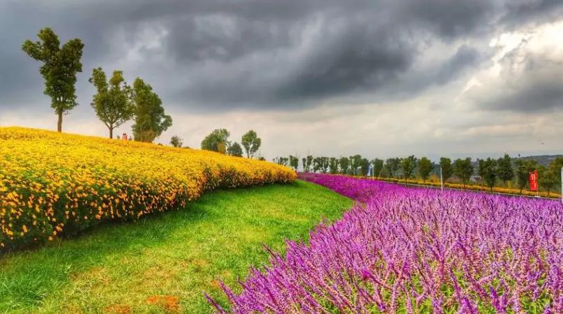 云南红河州石屏县适合旅居养老吗,云南养老居住最好的地方房价便宜