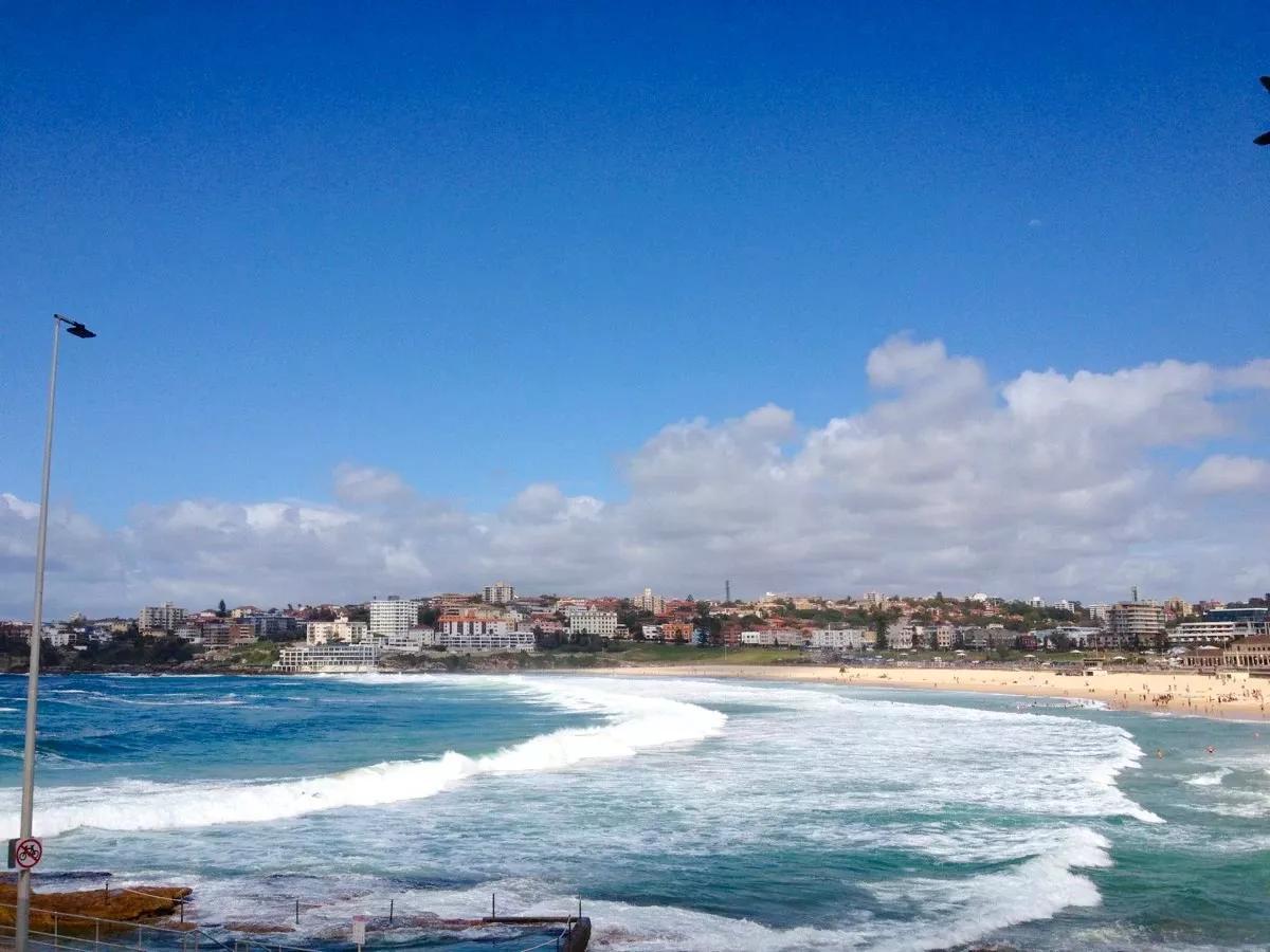 病毒肆虐全球,病毒肆虐全球高清