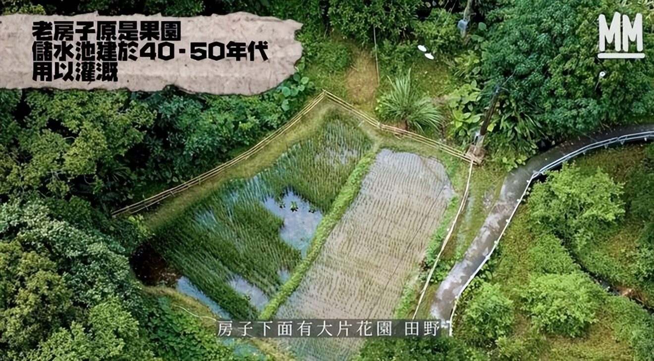 她隐居香港33年，坐拥天然泳池和农场，却用了一辈子二手货！