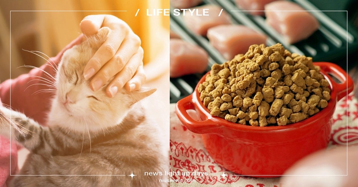 2023最新猫粮测评表,2023高品质猫粮十大排行榜