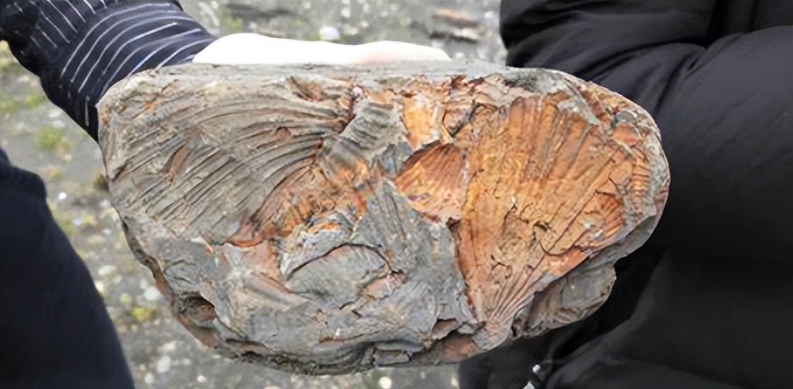 新西兰什么地质灾害频繁,新西兰可能会沉入海底吗