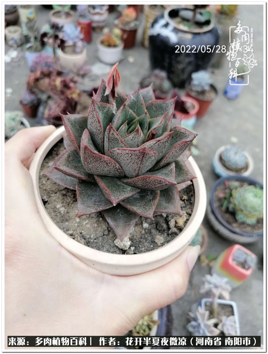 万事开头难只要坚持才有收获,万事开头难只要肯干就会有结果