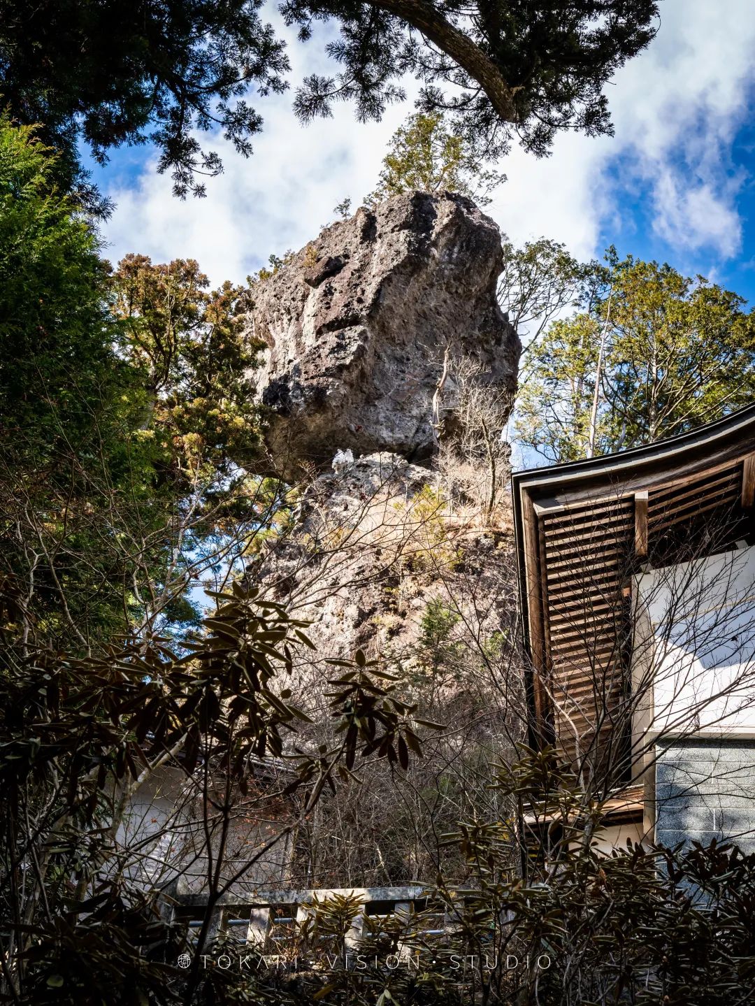 日本旅行跟团游东京北海道,日本旅行中文团