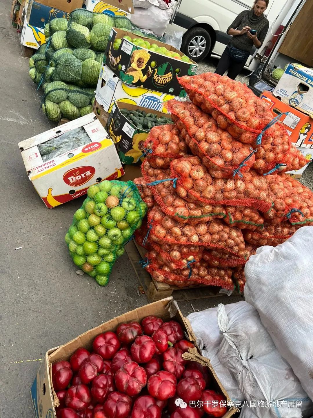 罗马尼亚蔬菜,罗马尼亚大型水果批发市场