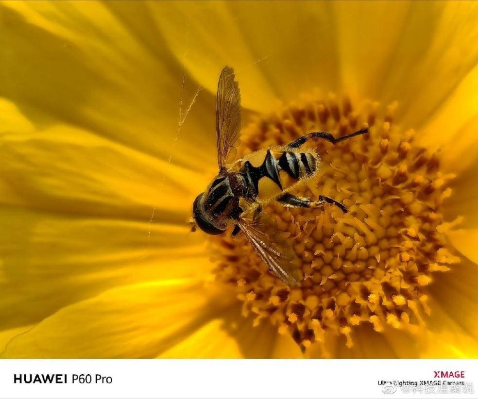 华为手机目前最值得入手的一款p60,华为p60系列哪款手机值得买