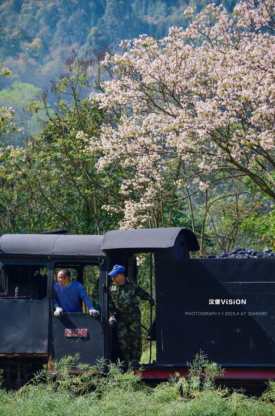 成都芍药花海景区,成都市内芍药花海