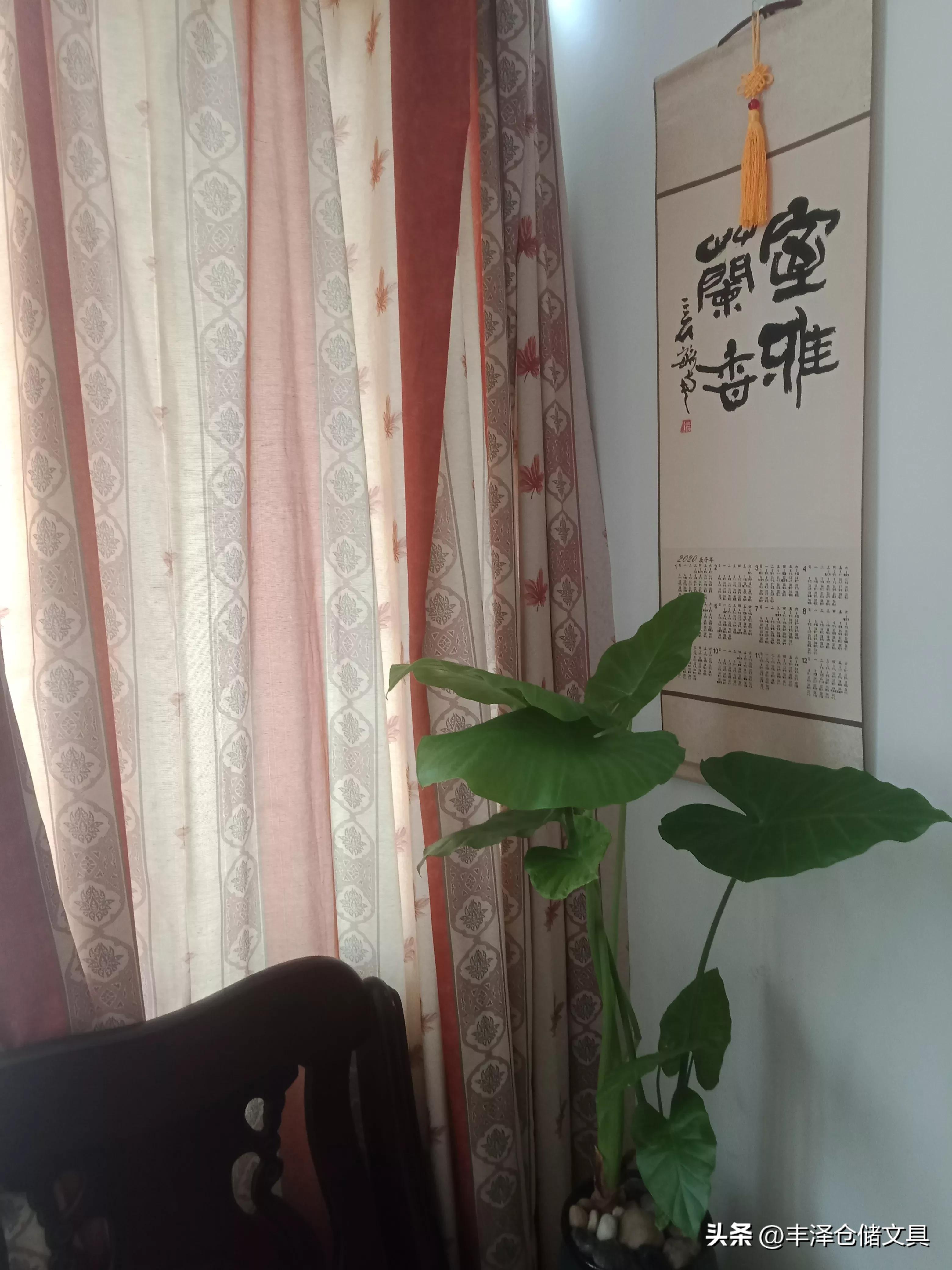 因为懂得了所以不离不弃,有一种美好叫你不离不弃