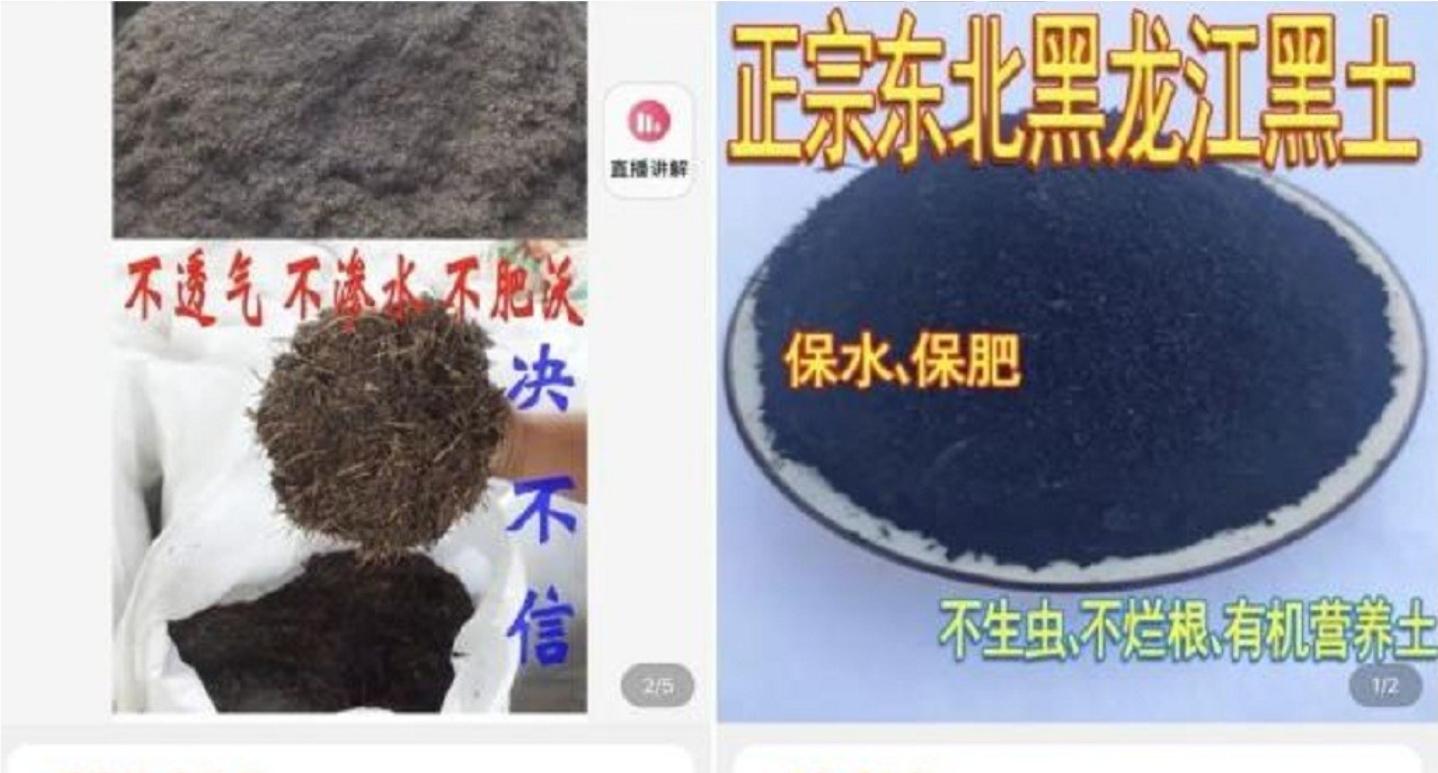 东北黑土地耕地中的大熊猫,东北黑土地保护大熊猫