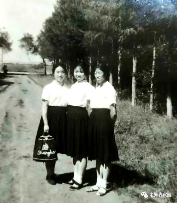 我的苦乐人生——下乡九年的蹉跎岁月