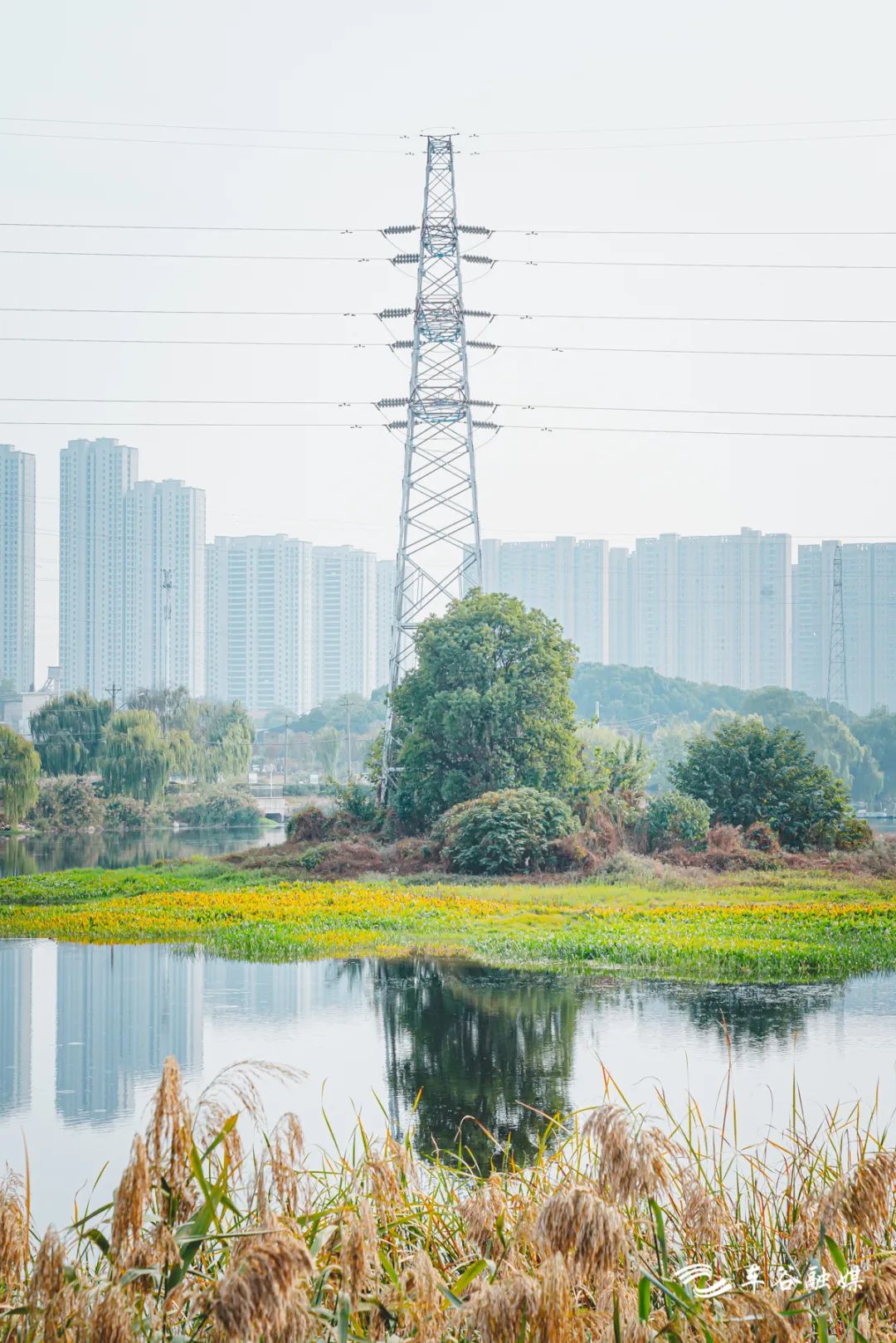 散步、慢跑、骑行……快来打卡车谷这些“高颜值”绿道