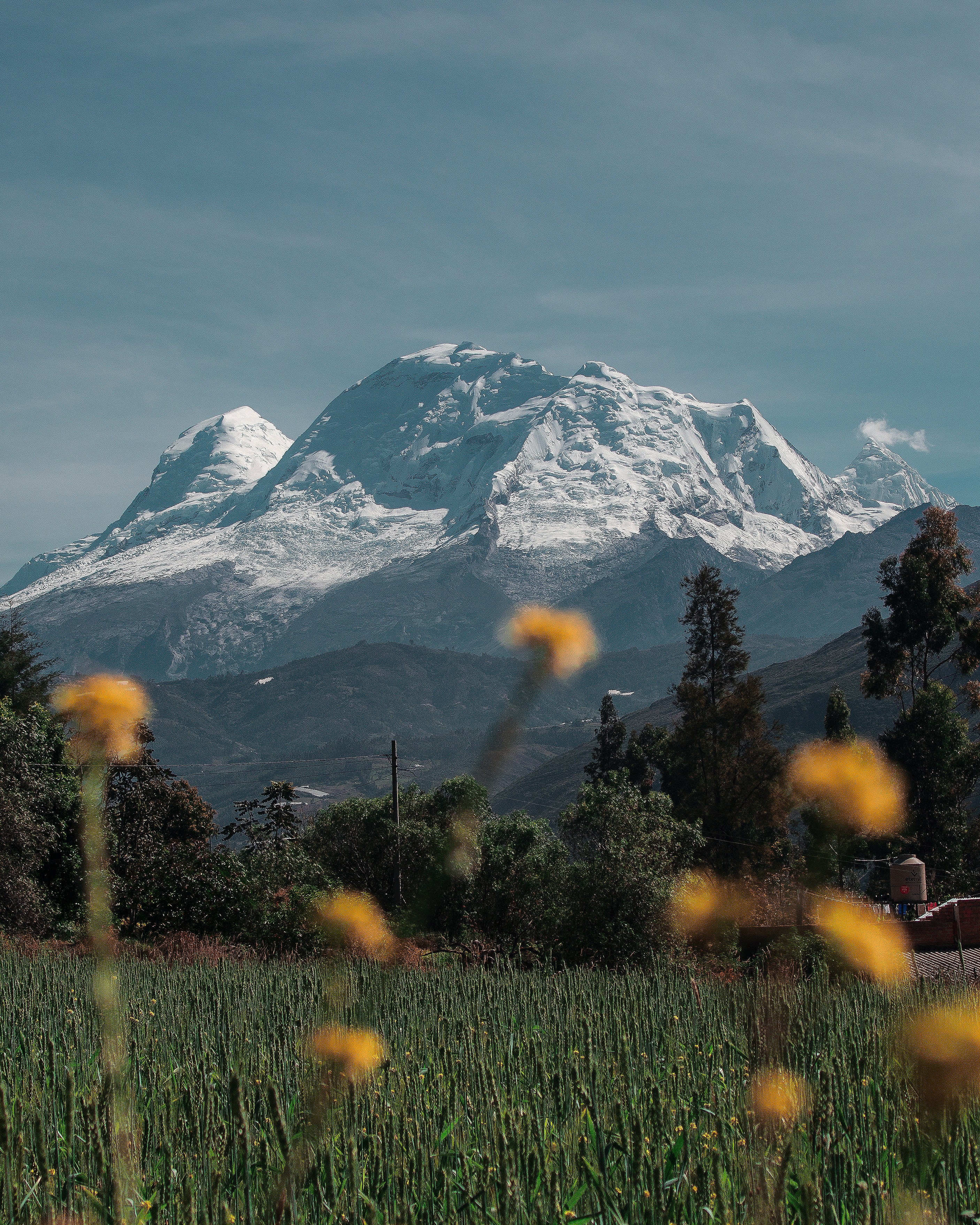 创业真相书籍,姚尚坤创业真相