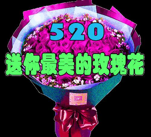520送你最美的玫瑰花,520把最美的祝福送给幸福的你