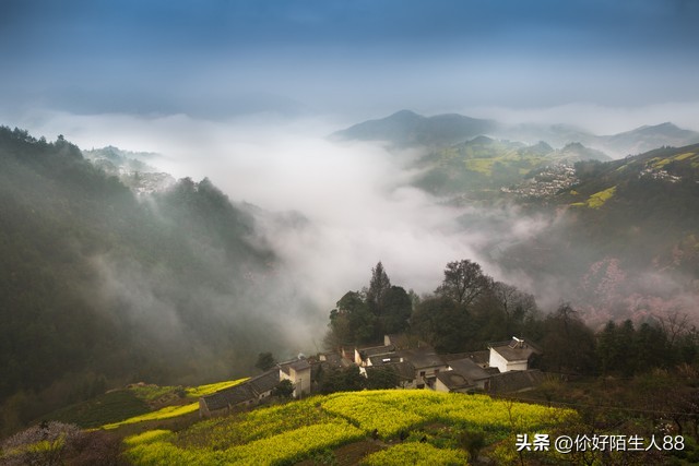 城里有房申请分户,有户无房人户分离政策