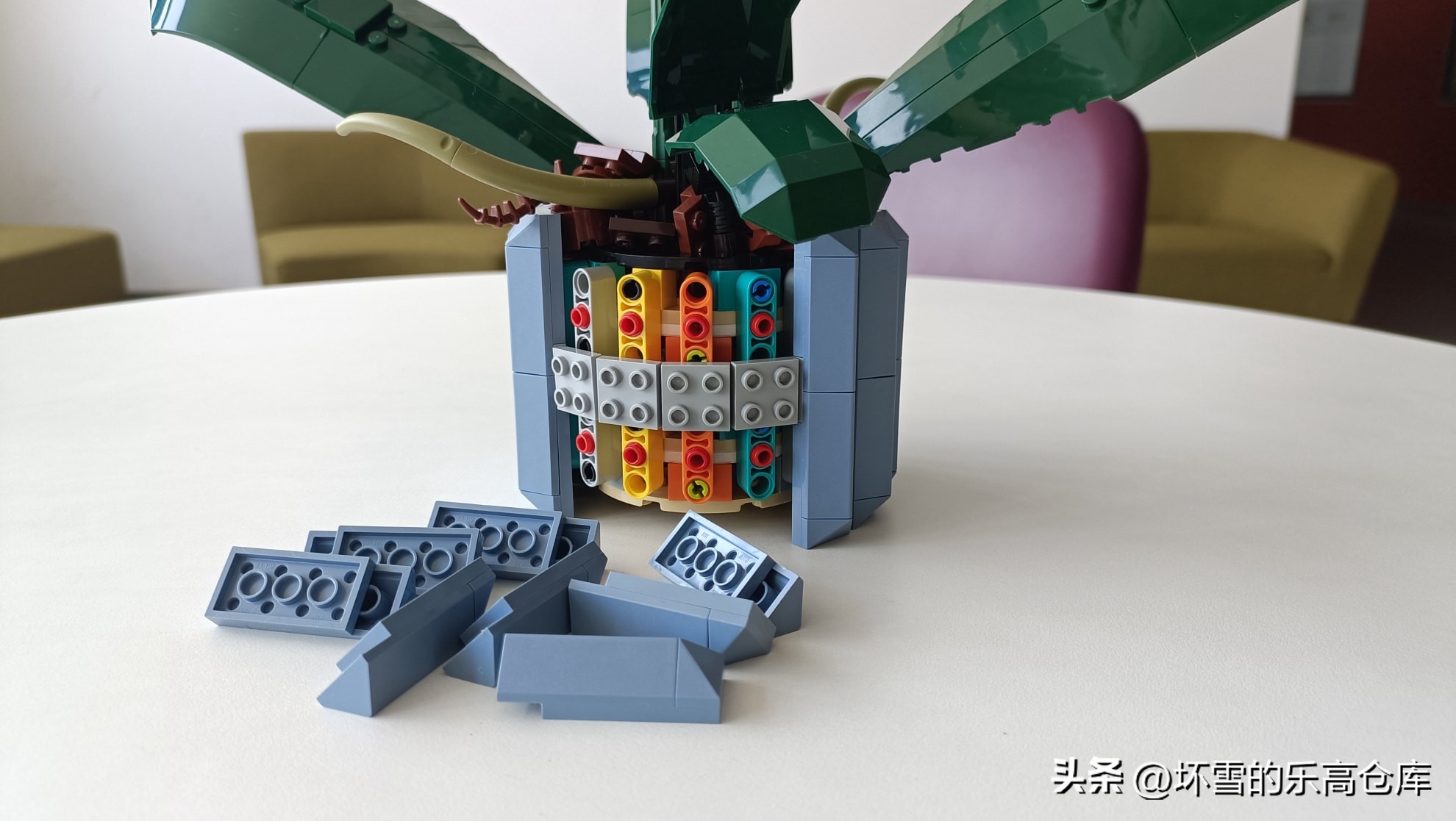 乐高兰花图片及价格,乐高兰花测评