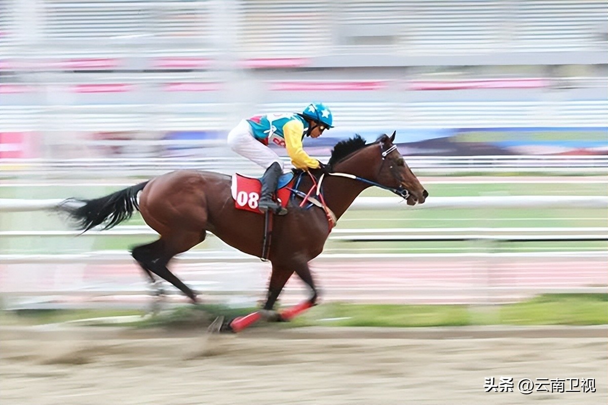 马术项目列入传统民族体育项目,第十二届全国少数民族运动会马术