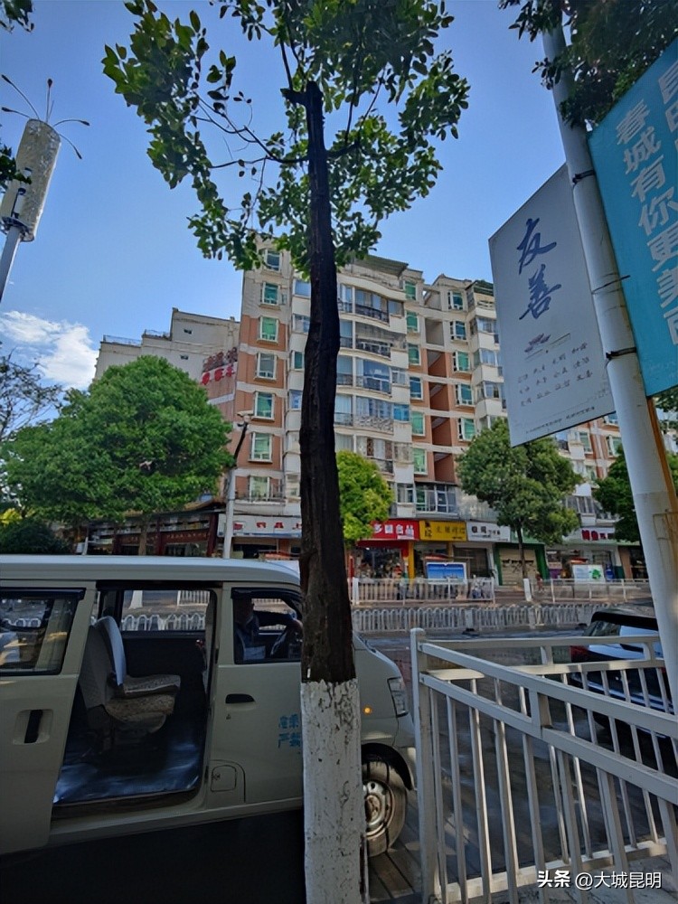 补绿换绿增绿！西山区道路沿线景观将焕然一新