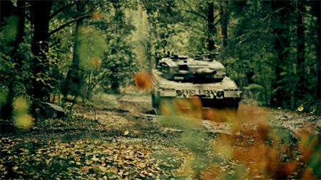 豹2看上去就威猛,豹2家族最新型