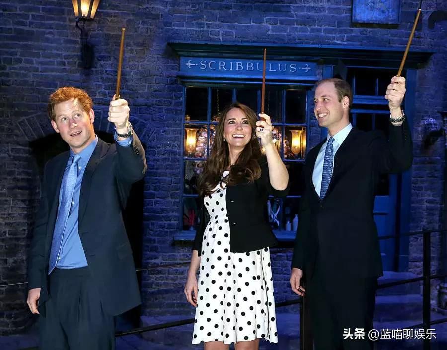 哈里王子和威廉王子回忆,哈里王子梅根感人视频