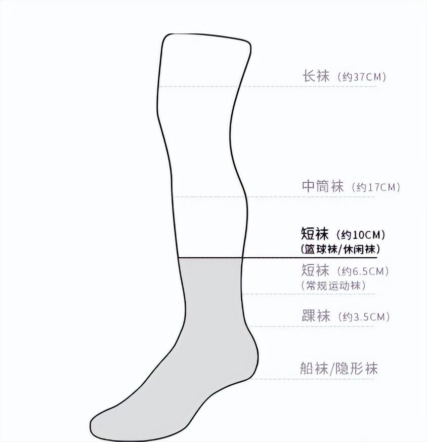这些好看又不贵的袜子,你穿过几双?丨多肉君测评