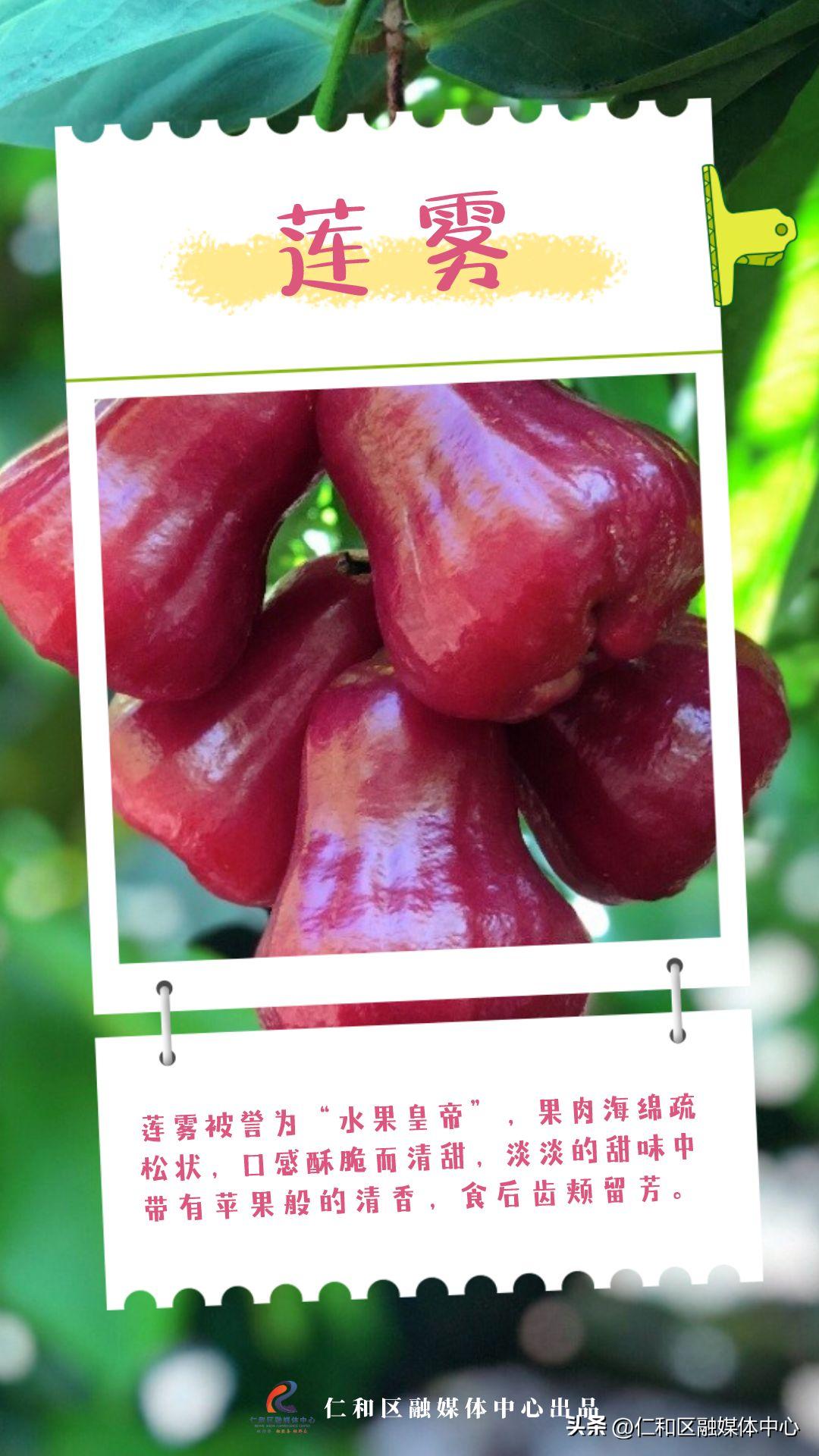 超甜的热带水果有哪些,好看好吃又不常见的水果