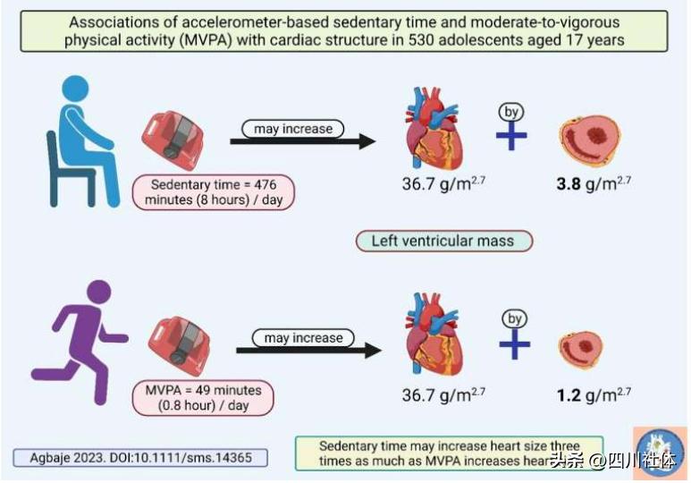 久坐心脏不舒服,久坐心脏不舒服吃什么好