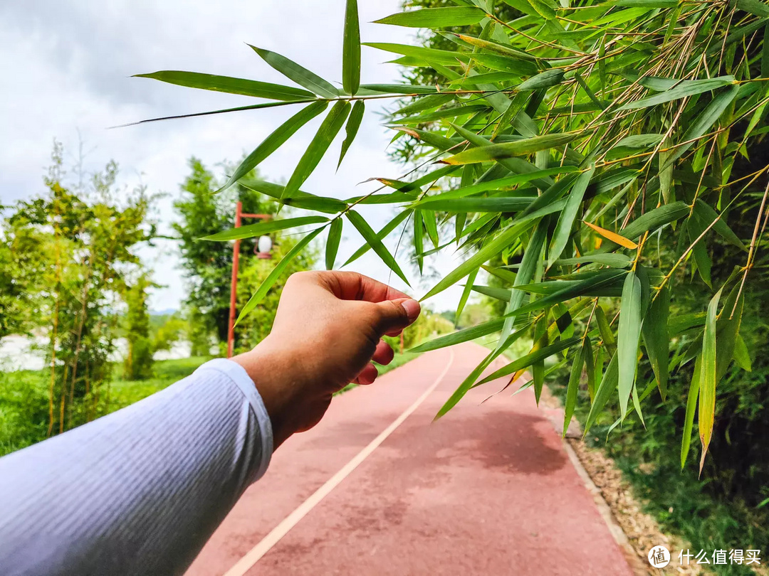 捷安特atx810自行车怎么辨别真假,闲鱼买捷安特atx660自行车靠谱吗