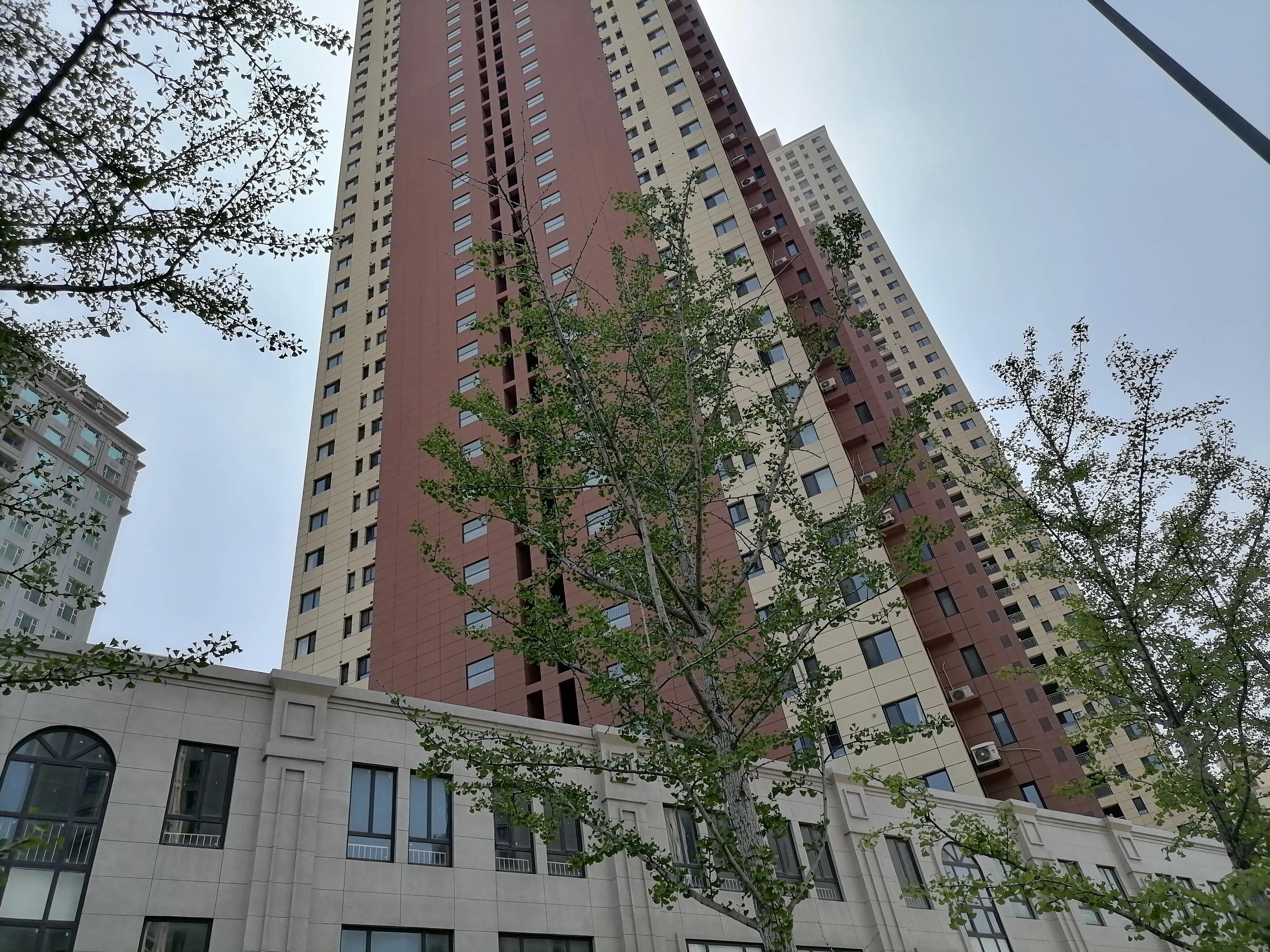 到大连星海广场应该玩点什么,大连兴工街到甘井子万达坐什么车