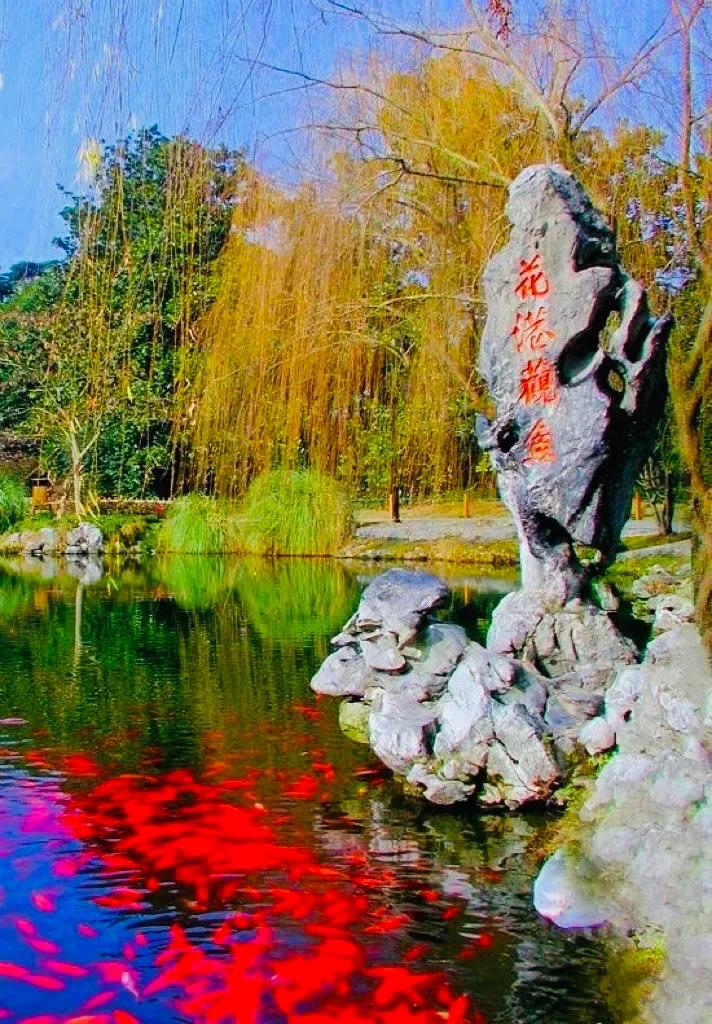 杭州西湖照片,杭州西湖旅游攻略