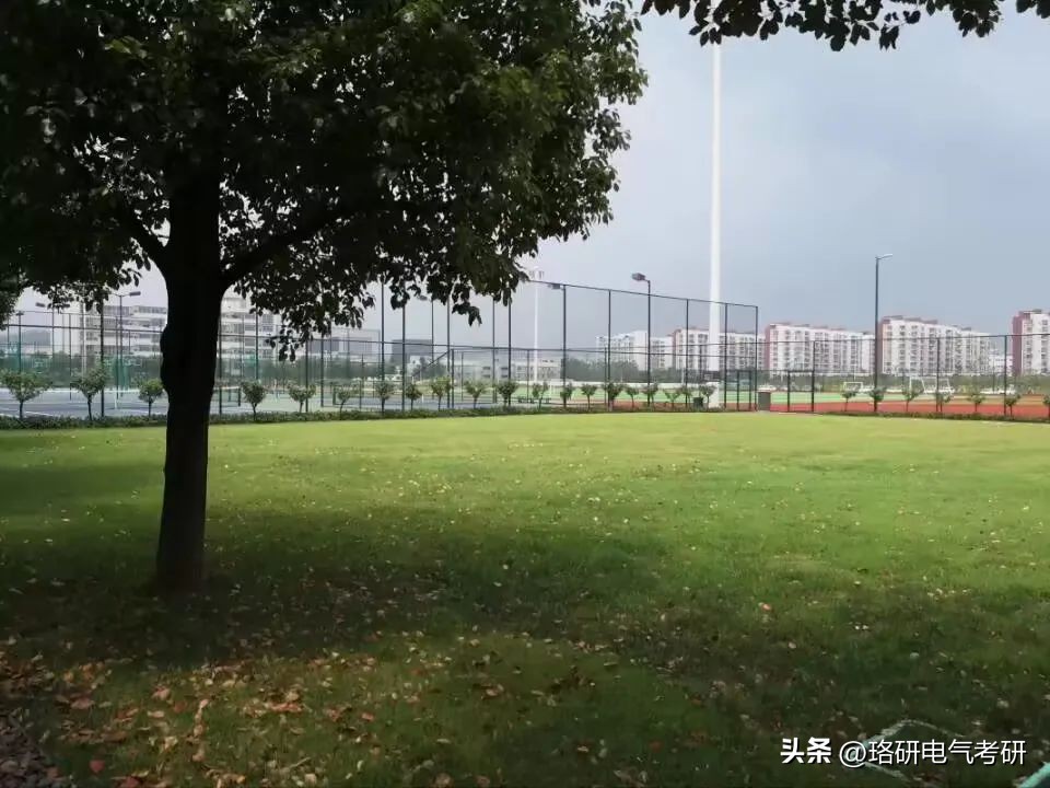 国网哪个地方好进,最容易上岸的省份和地区