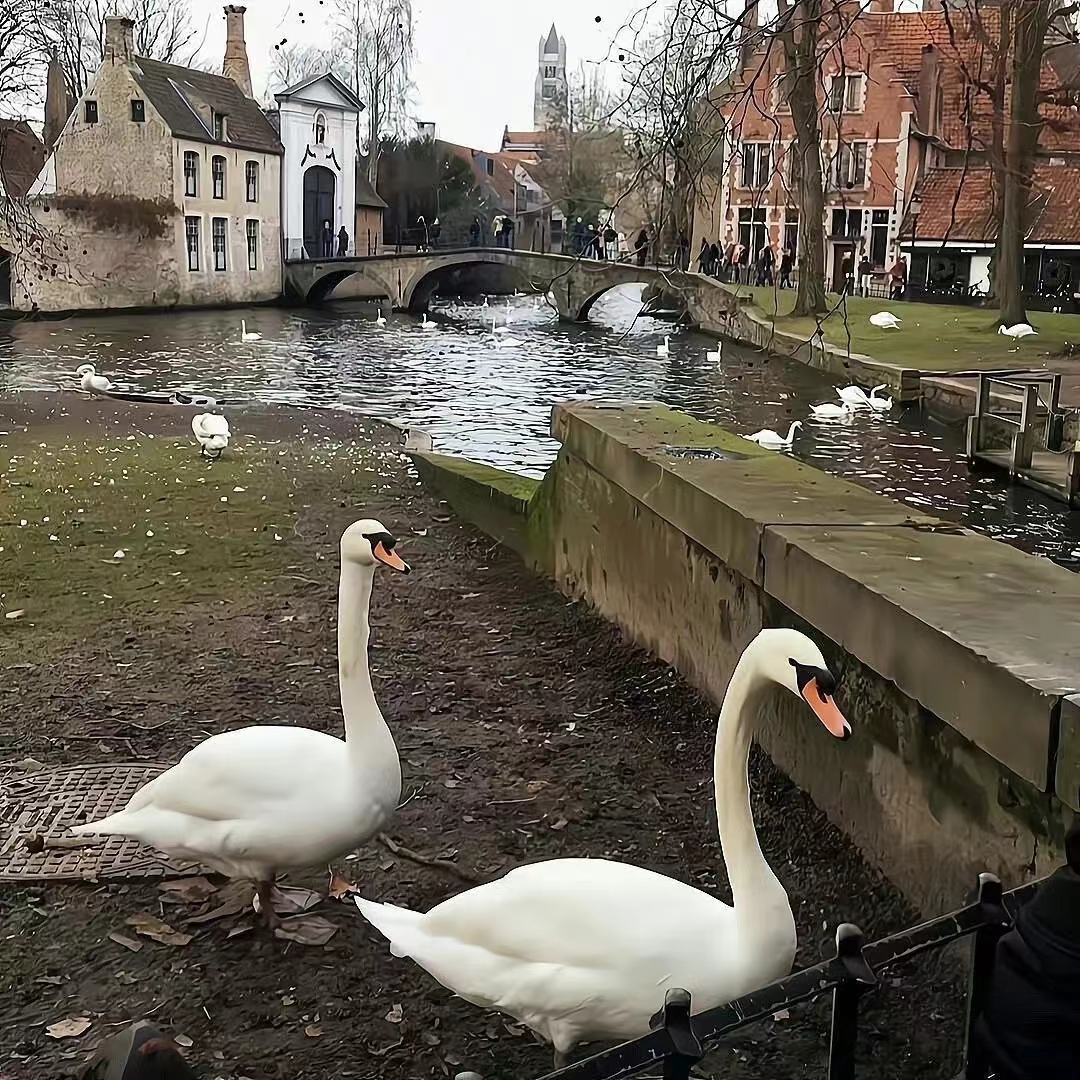 可爱日常的朋友圈文案,可爱日常朋友圈的文案