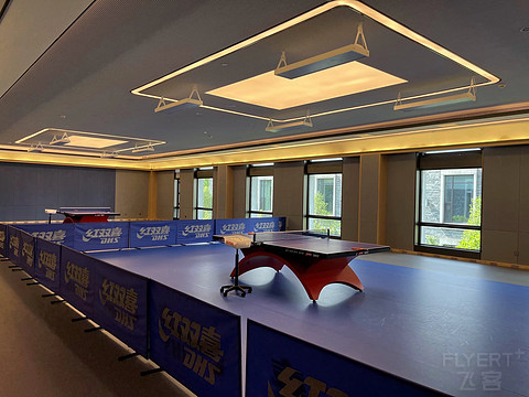 鍒濆涔嬫梾榛勯噾娴峰哺,鍒濆涔嬫梾