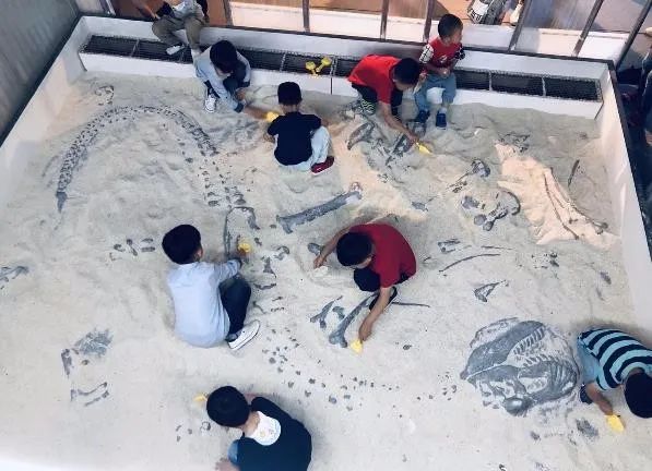 浦江郊野公园奇迹花园区几点关门,浦江郊野公园奇迹花园区要收费吗