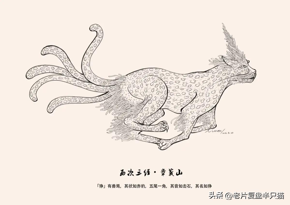 中国国漫大鱼海棠最后独白,国漫大鱼海棠深度解说