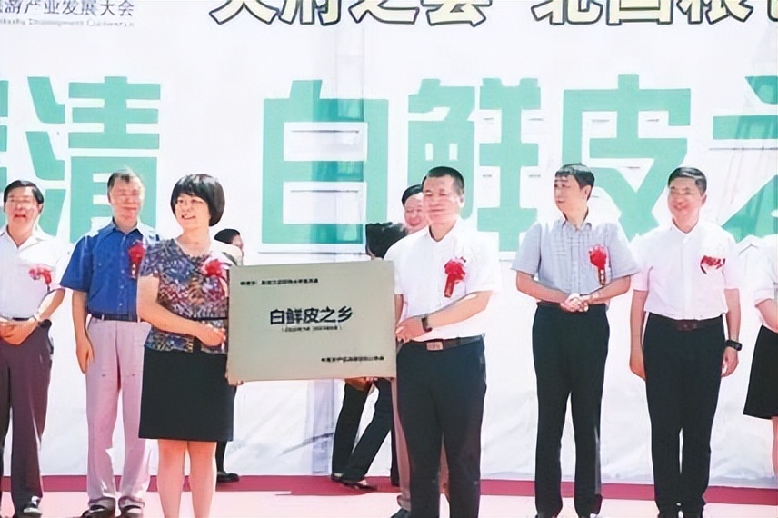 黑龙江宝清：寒地龙药示范县乡村振兴别样红