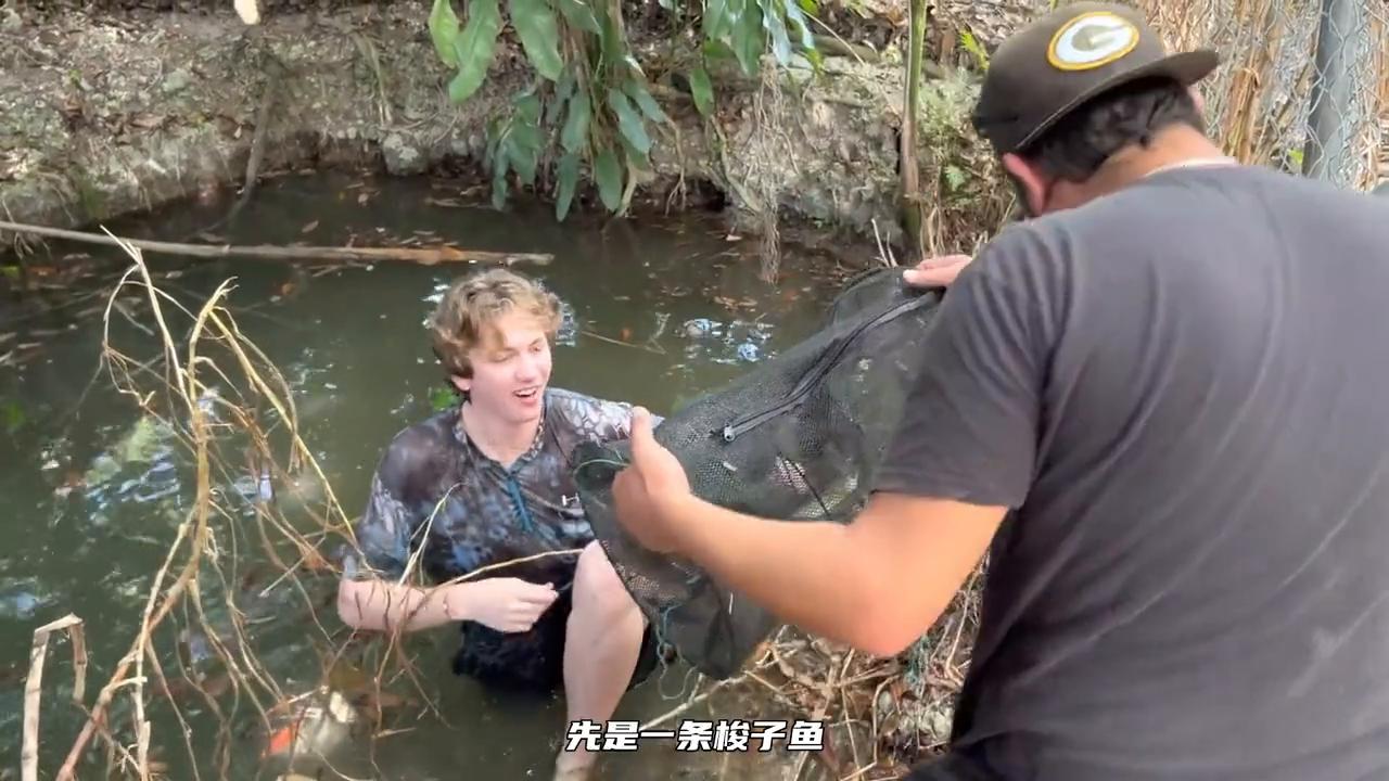 金龙鱼对缸外做咬人状是为什么,金龙鱼咬人被炖