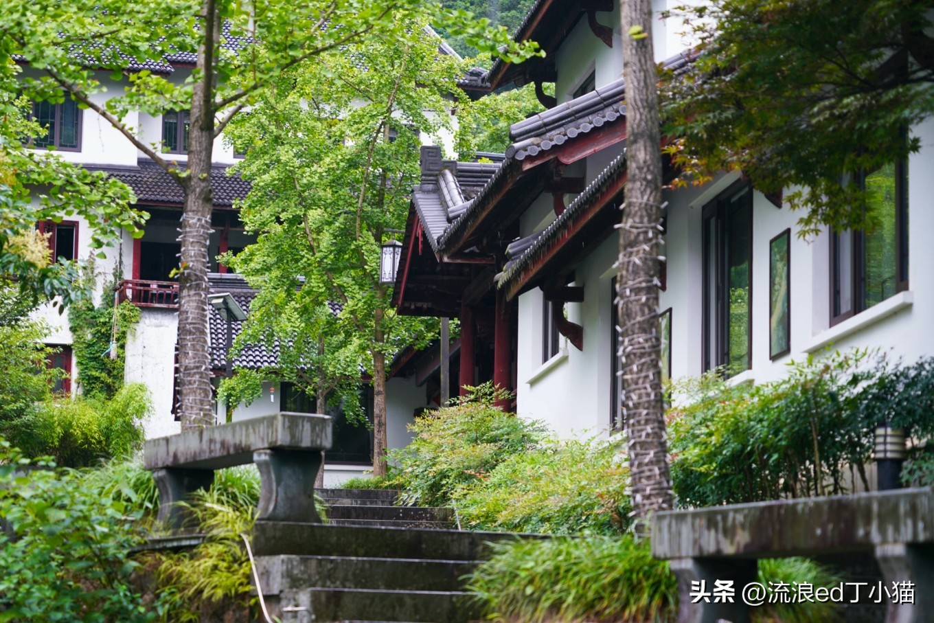 杭州周边游桐庐夏日避暑漂流攻略,桐庐夏天附近避暑最佳旅游地