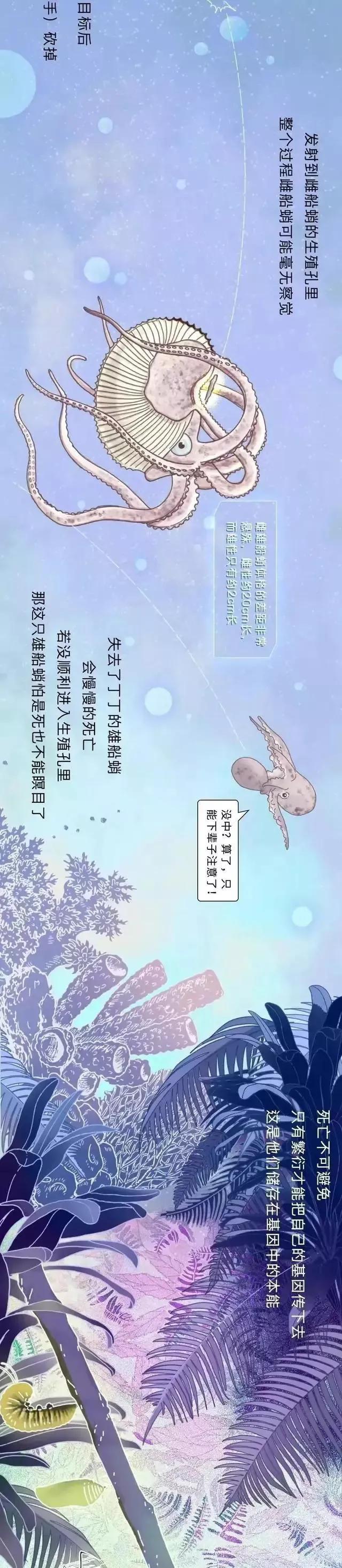 动物交配时长对照表，看完我又自信了（漫画）