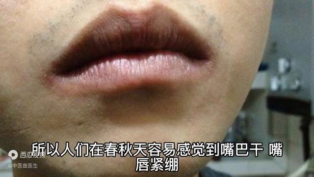 以食代药轻松自愈,以食代药食疗养生方法