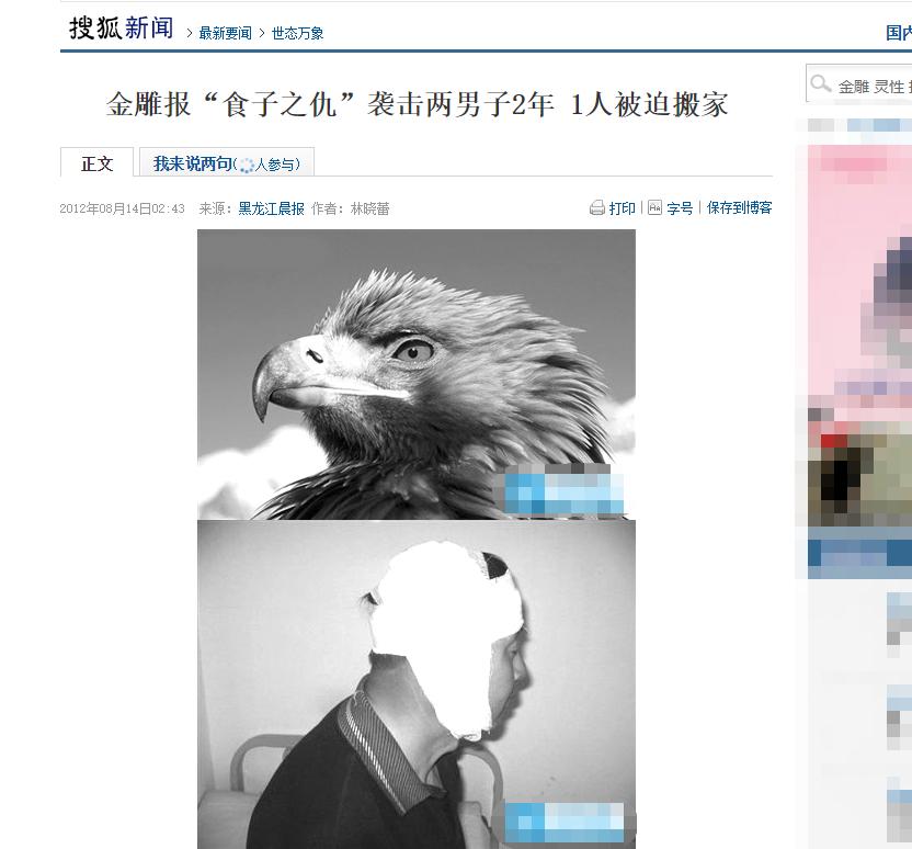 金雕击毙狼全过程,蒙古猎鹰捕狼视频